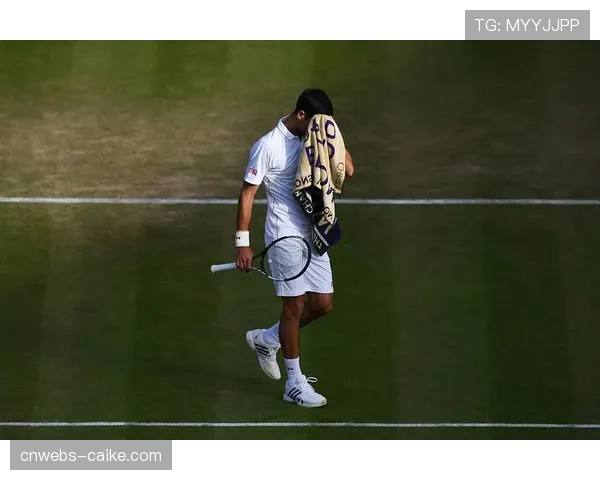 雨中激战：荷兰对阵墨西哥的比赛因雨中断两小时，球迷高歌助威