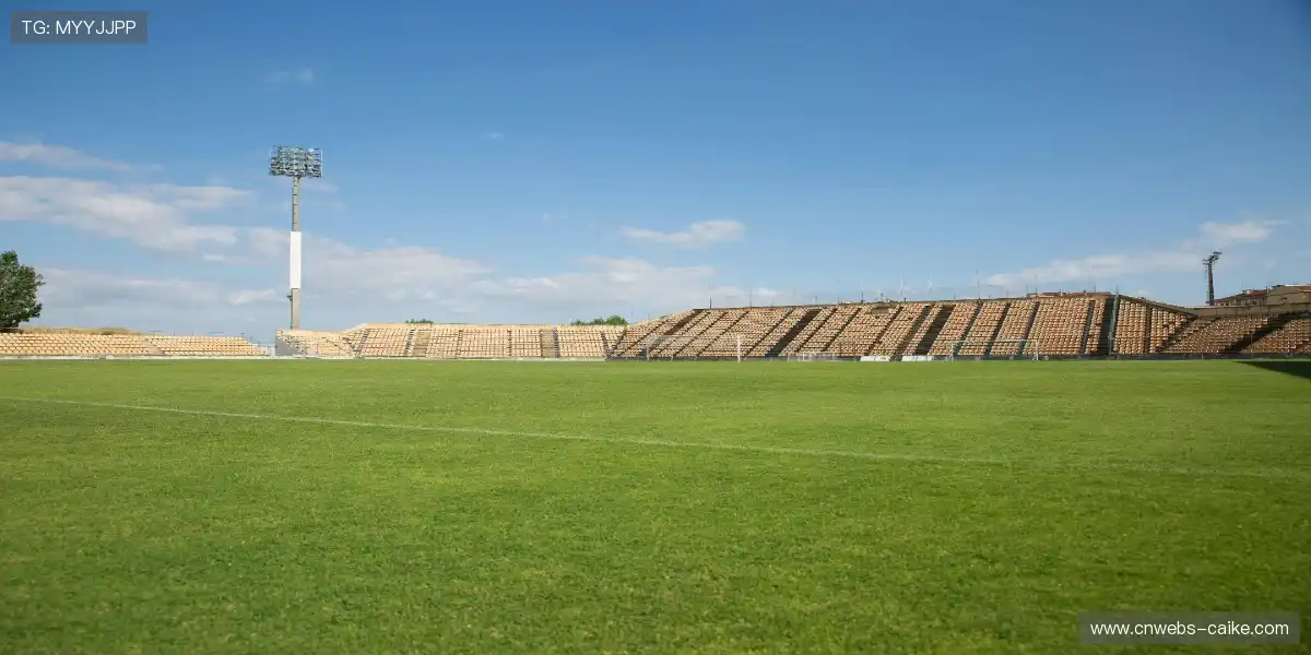 ⚽ 智能战术沙盘还原,深度观赛更有料,战术奥秘一目了然!🧠